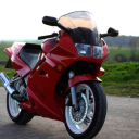 red1990hondavfr750 avatar