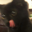 redandgreenlitterbox avatar