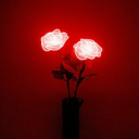 redbbpoison avatar
