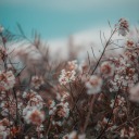 redbullanddepression avatar