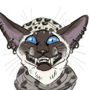 redcoatcat avatar