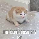 redcrestedtreerat avatar