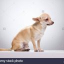 reddie-set-nope avatar