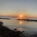 reddit-spaghetti avatar