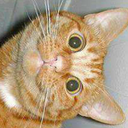 reddragon7413 avatar