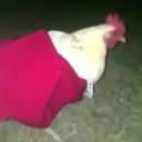 reddressdressedchicken avatar