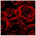 reddshitposting avatar