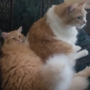 redefiningyouco avatar