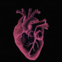 redfilledfantasies avatar