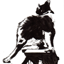 redharvestportfolio avatar