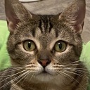 redheadedsnppet avatar