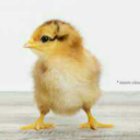 redheadheathen avatar