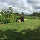 redhotchililosers avatar