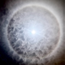 redisawerewolf23 avatar