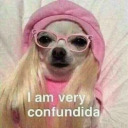 redlightindicates avatar