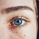 redneckdysguys avatar