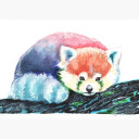 redpandaramblings avatar