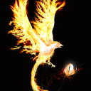 redpillfuturist215 avatar