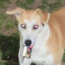 redradcomrade avatar