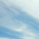 redredredrose avatar