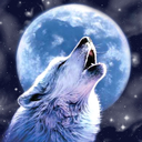 redspiritwolf avatar