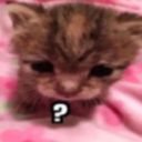 redtippedpencil avatar