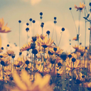 reduce-recycle-read avatar