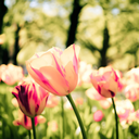 redundantseas avatar