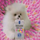 redunoreversecard avatar