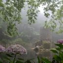 redwineclementine avatar