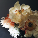 redwoodhopeful avatar