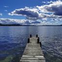 redwoods-world avatar