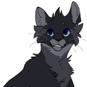 reedwhiskers avatar