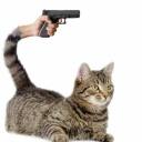 reedwhiskerz-moved avatar