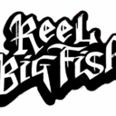 reelbigfishdaily avatar