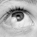 reen-is-green avatar