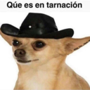 reezycxll-blog avatar