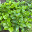 refinedcouple12 avatar