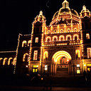 reflectedsplendour avatar