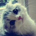 reflection-of-affection avatar