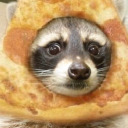 reflection009 avatar