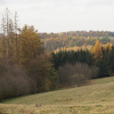 reflectioninmidnightblue avatar