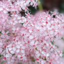 reflectionofmydna avatar