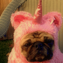 reflectionofthelight-blog avatar