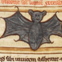 reflections-of-falling-leaves avatar