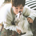 reflectionslie avatar