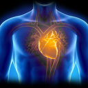 regen-med-outreach avatar