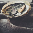 regina-herbis avatar