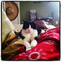 regina-phalange-2 avatar