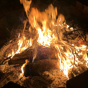 reginahominum avatar